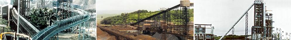 Bulk Material Handling Systems,Belt Conveyors India,Bagasse Handling System