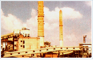 Coal Handling Plants,Coal Handling Plants India